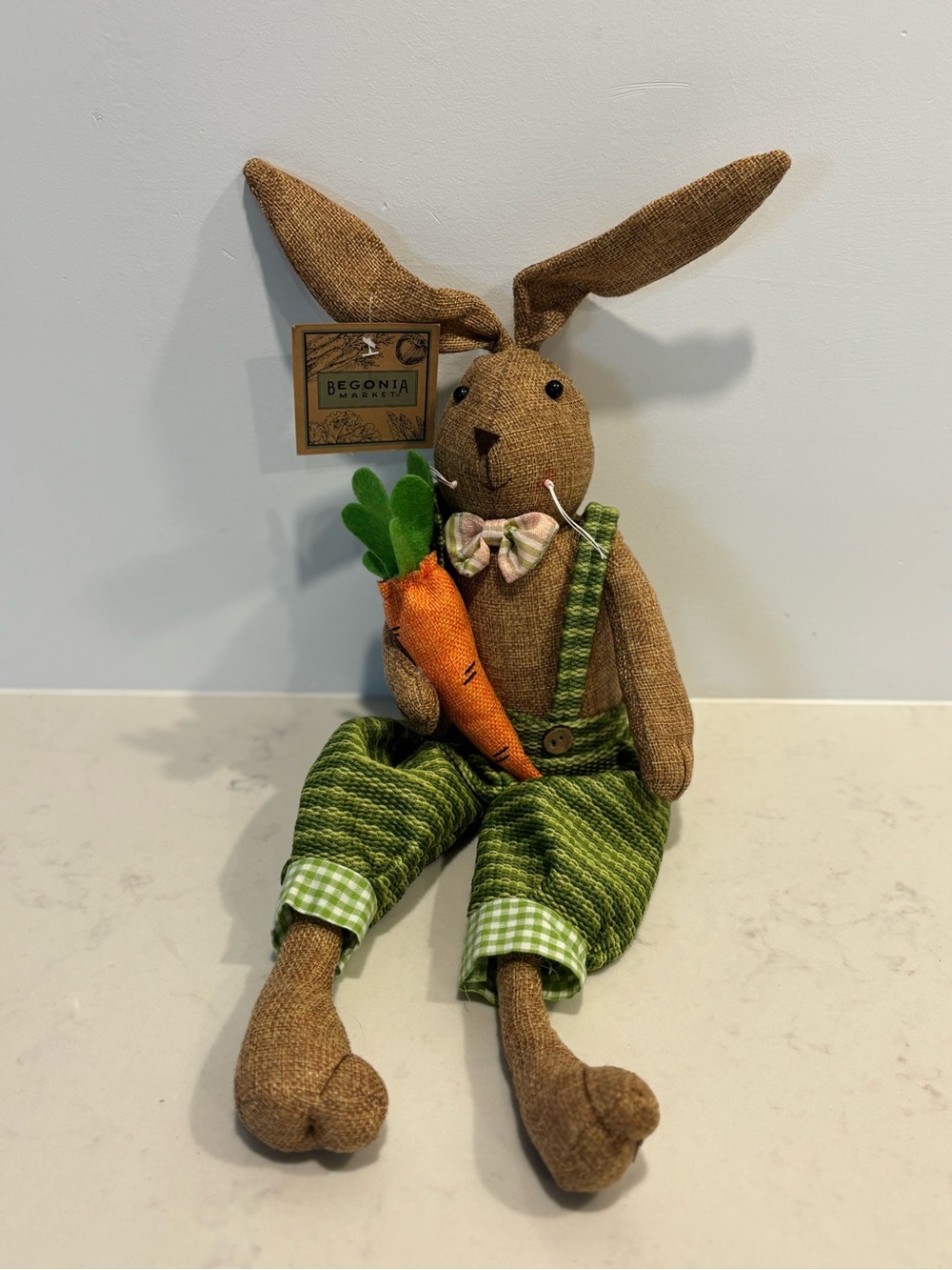 Begonia Market shelf sitters handsome Easter bunny decoration